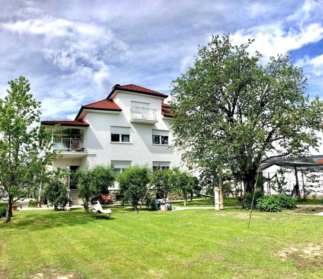 Apartments Andrej - Optuj Exterior photo